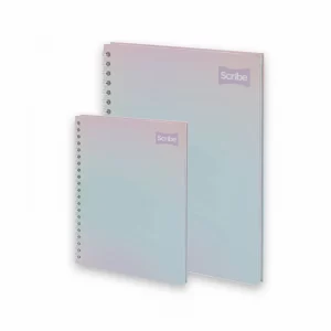 Cuadernos argollados